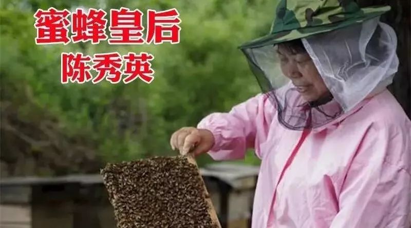 妙语蜂蜜好吗 饭后喝蜂蜜水好吗 黑蜂蜜粘稠不 蜂蜜里有蜜蜂 台湾的蜂蜜好吗