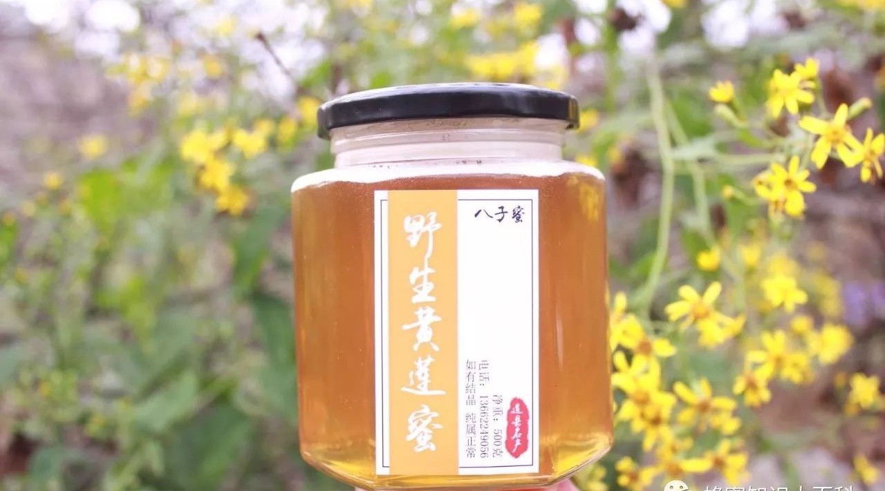 大蒜与蜂蜜相克 转化糖浆+蜂蜜 降血脂蜂蜜 蜂蜜变质什么样 蜂蜜可以清肺吗