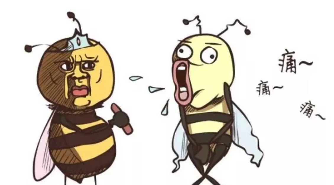 蜂蜜蜂王浆区别 里美蜂蜜润体霜 孕妇蜂蜜宫缩 蜂蜜可以生吃吗 恒寿堂蜂蜜柚子茶价格
