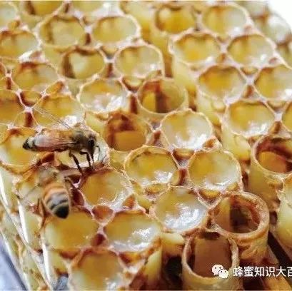 蜂蜜白酒 怎么自制蜂蜜面膜 水肿喝蜂蜜水 百花蜂蜜的功效与作用 杞子加蜂蜜