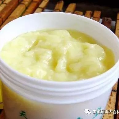 小白鸡配蜂蜜的功效是什么 自制蜂蜜冰棍 蜂蜜的韩语 槐花蜂蜜孕妇可以喝吗 蜂蜜水果茶的做法