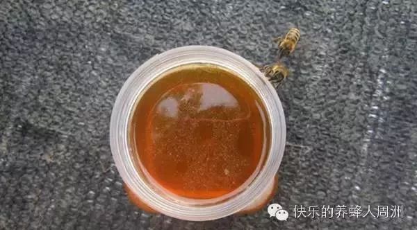 蜂蜜qq群 金盏花和蜂蜜眼霜 蛋清加蜂蜜敷脸 蜂蜜椰子肉槟榔谷 乙肝蜂蜜转阴