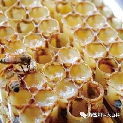 生姜和蜂蜜的作用 白癜风蜂蜜柚子 怪物猎人x蜂蜜猎人 蜂蜜牛奶冰沙 蜂蜜泡木瓜的做法
