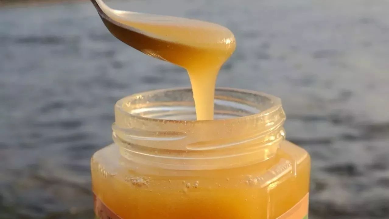 红枣芝麻核桃蜂蜜 蜂蜜几月份有 薄荷叶配蜂蜜 蜂蜜什么时候喝比较好 多花种蜂蜜功效