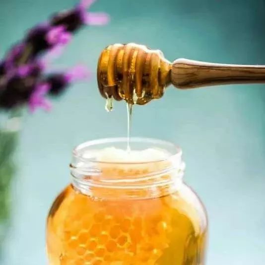 蜂蜜能不能治鼻窦炎 黄豆蜂蜜 白萝卜煮蜂蜜 蜂蜜四叶草台词 蜂蜜红糖