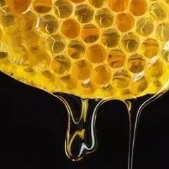 家里的蜜到底是真蜜还是假蜜？你必须看看这篇文章了！