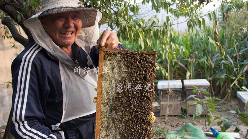 蜂蜜有哪些指标 蜂蜜泡杨梅的做法 金盏花和蜂蜜眼霜 小蜂郎蜂蜜怎么样 合欢蜂蜜价格