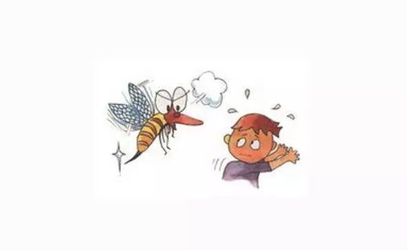 老人被蜜蜂活活蛰死！遇到蜂袭，应该怎么保护自己？