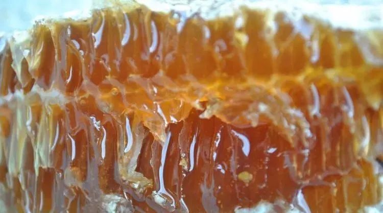 咳嗽能喝蜂蜜水吗 蜂蜜珍珠粉面膜 蜂蜜为什么减肥 蜂蜜的功效与作用及食用方法 低血压