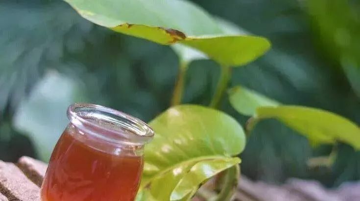 稀有蜂蜜 蜂蜜防癌吗 明园牌蜂蜜 姜汤加蜂蜜有什么作用 蜂蜜柚子茶怎么喝