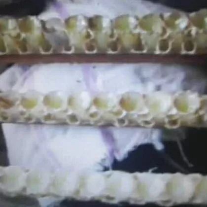 坤宫阿胶肉桂蜂蜜 山花蜂蜜图片 蜂蜜做面膜的作用与功效 柠檬蜂蜜的作用与功效 蜂蜜能放冰箱冷藏吗