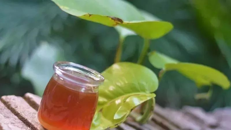 蜂蜜人参茶 乌发 蜂蜜祛斑法 蜂蜜柚子茶多少钱一瓶 蜂蜜养颜法