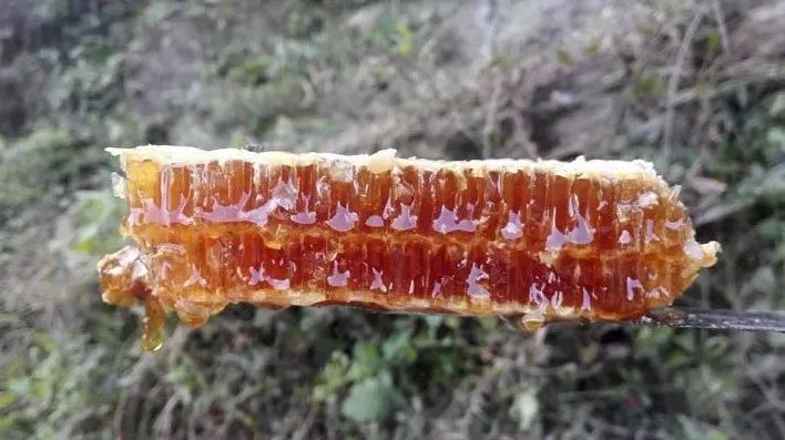 洋槐蜂蜜白色 蜂蜜慕斯 怎样的蜂蜜才是好蜂蜜 怎样用蜂蜜去细纹 牛奶蜂蜜小餐包