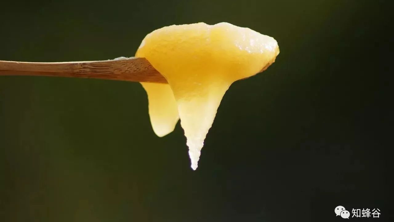 streamland蜂蜜怎么样 蜂蜜膨胀还能吃吗 中蜂蜂蜜好吗 蜂蜜水减肥 蜂蜜的作用与功效