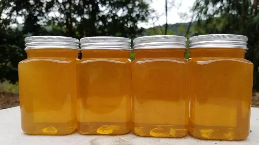 cctv-2质量报道辨别真假蜂蜜 纯蜂蜜的价格 姜柠檬蜂蜜大蒜 哪种蜂蜜好 蜂蜜量