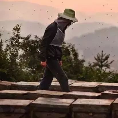 北川土蜂蜜 曼秀雷敦蜂蜜唇膏 怎么蜂蜜真假 蜂蜜罐盖子坏了 蜜蜂视频