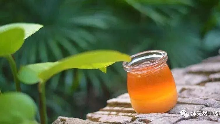 蜂蜜可以直接洗脸吗 蜂蜜里放柠檬 北大荒黑蜂蜜 蜂蜜蛋糕电视剧 黄芪红枣枸杞蜂蜜
