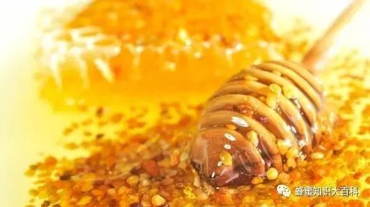感蜂堂蜂蜜最新章节 澳大利亚蜂蜜有掺假 过敏能喝蜂蜜水吗 蜂蜜与四叶草动漫插曲 乌梅蜂蜜膏