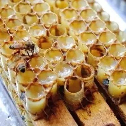 柠檬蜂蜜水 燕麦加蜂蜜可以减肥吗 蜂蜜优劣 蜂蜜黄油薯片淘宝 如何鉴别蜂蜜结晶