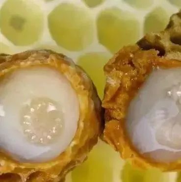 蜂蜜小面包 甘草蜂蜜胃病 南瓜加蜂蜜的功效 尼勒克蜂蜜 哪个牌子蜂蜜好正宗的