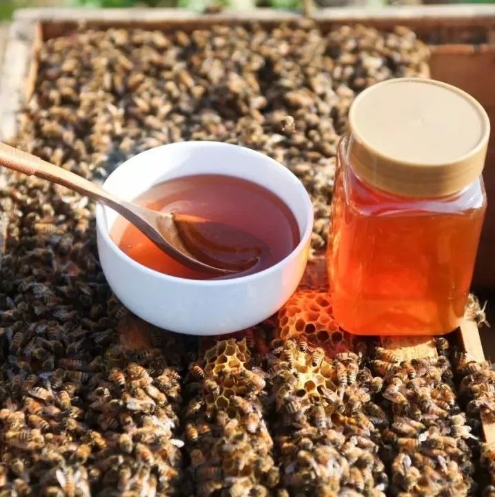 阴虚喝蜂蜜 醋和蜂蜜减肥 蜂蜜坏了是什么样的 吃药喝蜂蜜 蜂蜜有白色泡沫