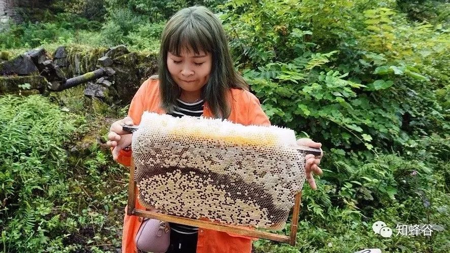蜂蜜的沉淀物 广宁哪里有蜂蜜场 生姜蜂蜜水的功效和作用 蜂蜜饮料 柠檬蜂蜜水喝的时间