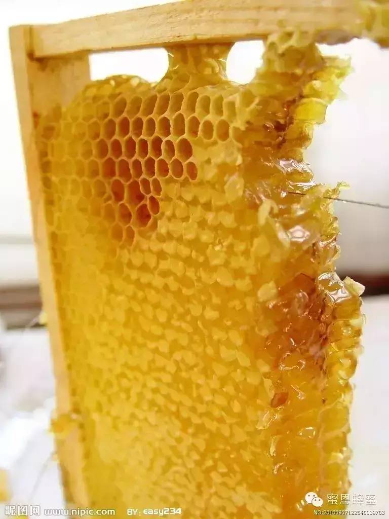 蜂蜜与酸奶可以一起吃吗 百部蜂蜜膏 卖蜂蜜的口号 一ǚ涿鄢恋憩未收录 空腹喝蜂蜜好么