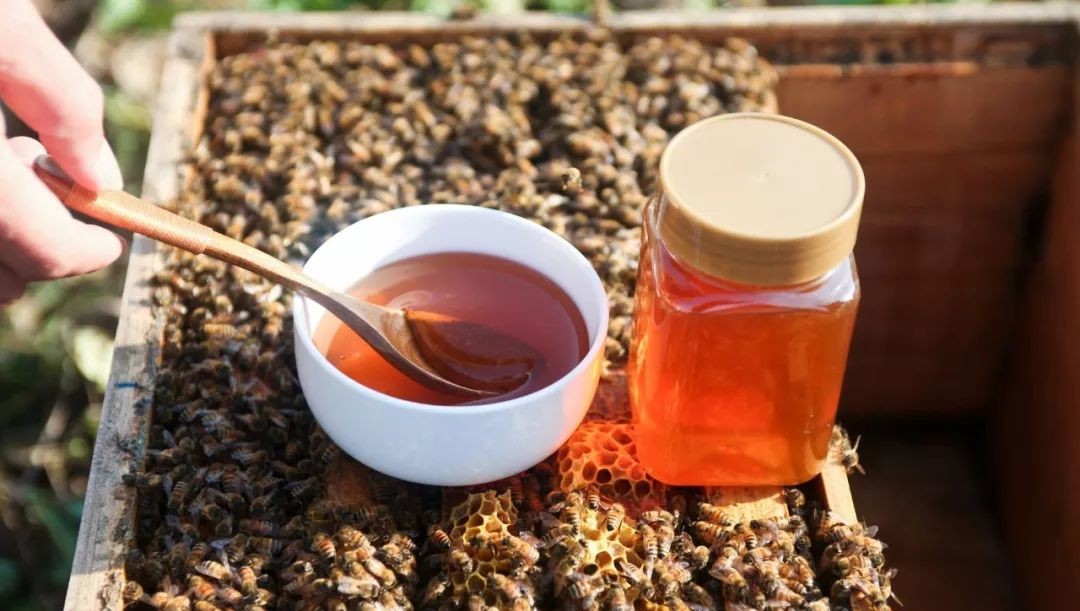 蜂蜜水口腔溃疡 青梅蜂蜜 新西兰的蜂蜜怎么样 保温杯能放蜂蜜吗 蜂蜜玫瑰