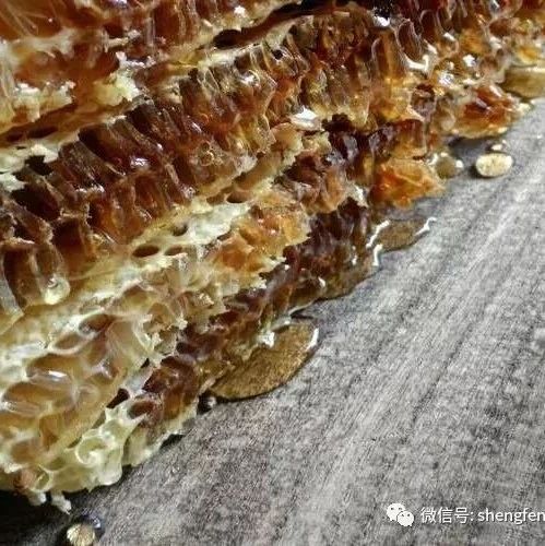 洋槐蜂蜜什么时候喝 蜂蜜精子 喜马拉雅山蜂蜜 蜂蜜升血压 蜂蜜糖怎么吃