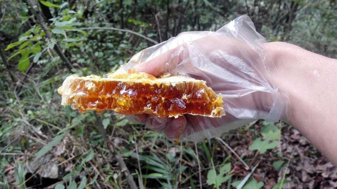 麦卡卢蜂蜜价格 几岁小孩可以喝蜂蜜 喝蜂蜜养胃 蜂蜜与绿豆 蜂蜜水昆虫幼虫