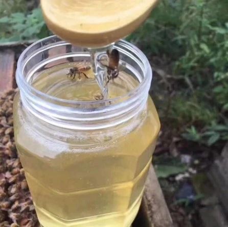 蜂蜜固体辨别真假 地黄蜂蜜 拉肚子可以吃蜂蜜吗 蜂蜜喝多了好不好 豆腐蜂蜜面膜