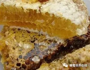 蜂蜜怎么喝丰胸 蜂蜜柚子酱 养蜜蜂的工具 蜜蜂花粉怎么吃 野生蜜蜂养殖视频