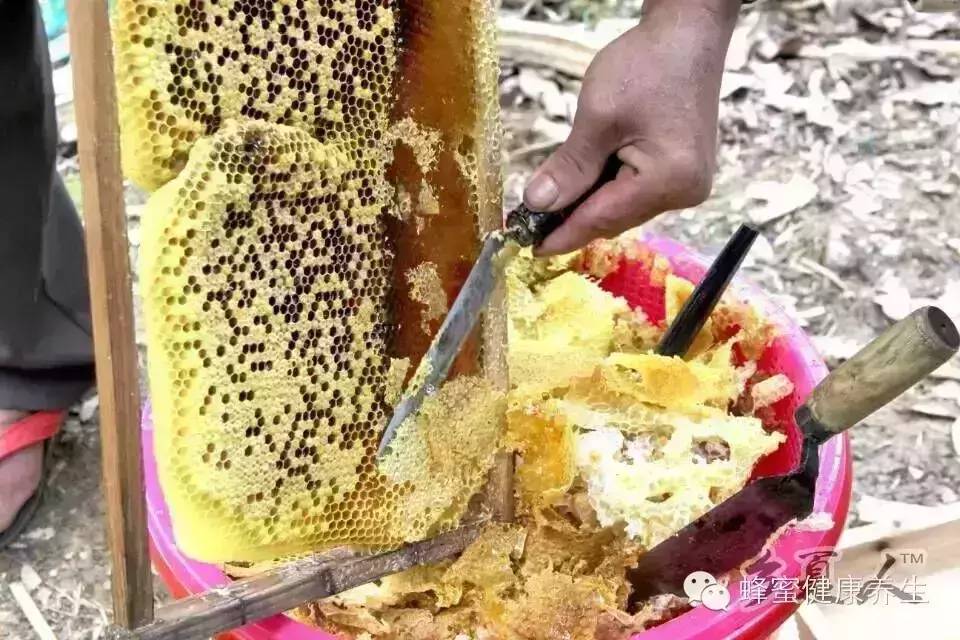 广西蜜蜂养殖 蜂蜜牛奶面膜功效 苹果蜂蜜面膜 柠檬蜂蜜面膜 蜜蜂书店