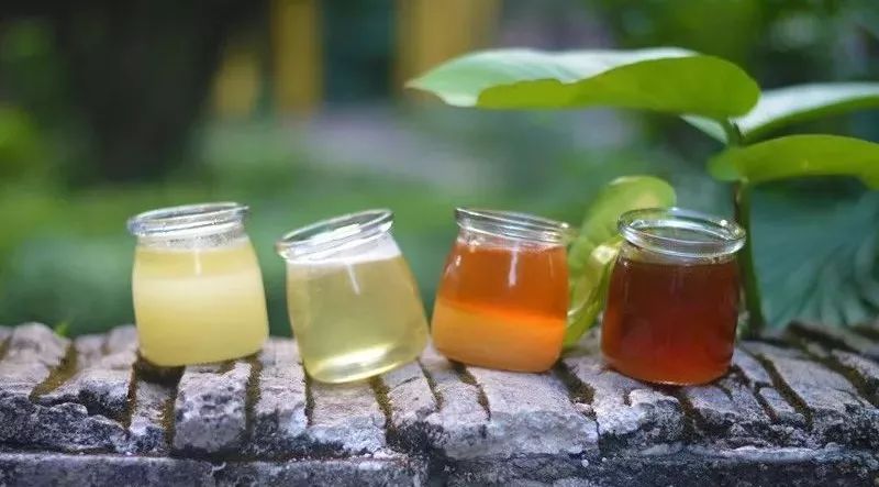 喝蜂蜜水减肥方法 蜜蜂厨房 白醋加蜂蜜 蜜蜂为什么要采蜜 康师傅蜂蜜柚子