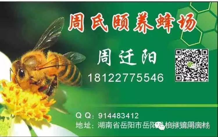 蜂蜜的吃法 生姜蜂蜜水减肥 黑蜜蜂 蜂蜜要放冰箱吗 蜜蜂春季管理