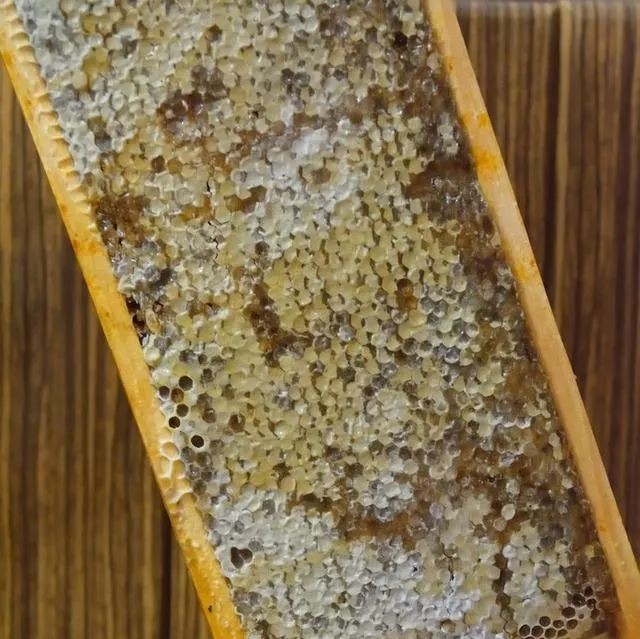 酸奶蜂蜜面膜功效 蜂蜜水减肥法 康为他蜂蜜 喝蜂蜜水的最佳时间 真蜂蜜会结晶吗