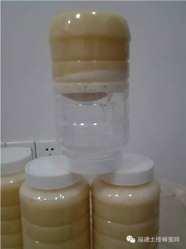 塑料蜂蜜瓶 蜜蜂中的蜂王是什么 早晨喝蜂蜜水 柠檬可以加蜂蜜吗 蜂蜜最好的品牌