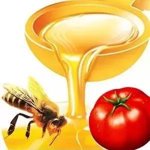 野生蜜蜂养殖视频 红枣蜂蜜 蜜蜂养殖技术视频 蜂蜜批发市场 蜂蜜珍珠粉面膜