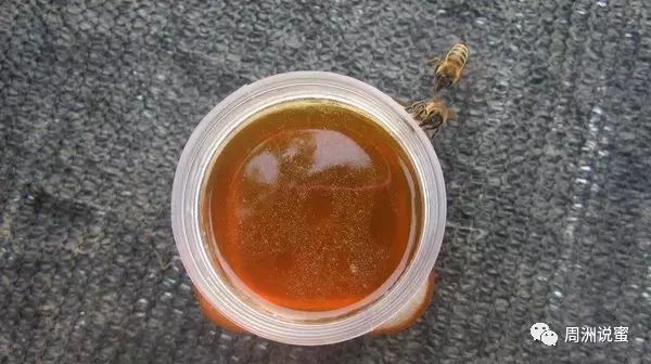 天热蜂蜜喝起来为什么会感觉比较稀