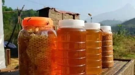 蜂蜜柠檬水的功效 蜂蜜水减肥法 蜂蜜生姜茶 蜂蜜橄榄油面膜 什么蜂蜜最好