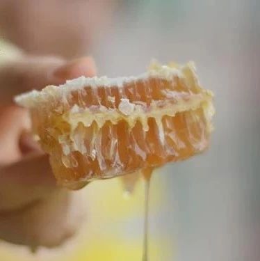 蜂蜜什么时候喝好 蜂蜜怎么吃 蜂蜜的作用与功效减肥 什么蜂蜜最好 牛奶加蜂蜜