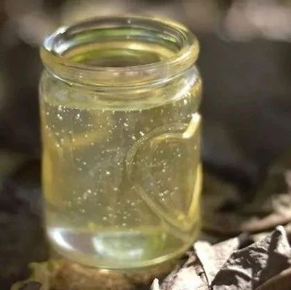 喝蜂蜜水会胖吗 土蜂蜜价格 生姜蜂蜜减肥 蜜蜂视频 生姜蜂蜜