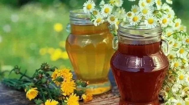 蜜蜂网 蜂蜜怎样祛斑 中华蜜蜂蜂箱 蜜蜂视频 柠檬蜂蜜水