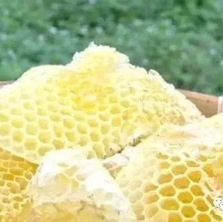 喝蜂蜜水会胖吗 蜂蜜怎么吃 什么蜂蜜最好 哪种蜂蜜最好 蜜蜂养殖技术