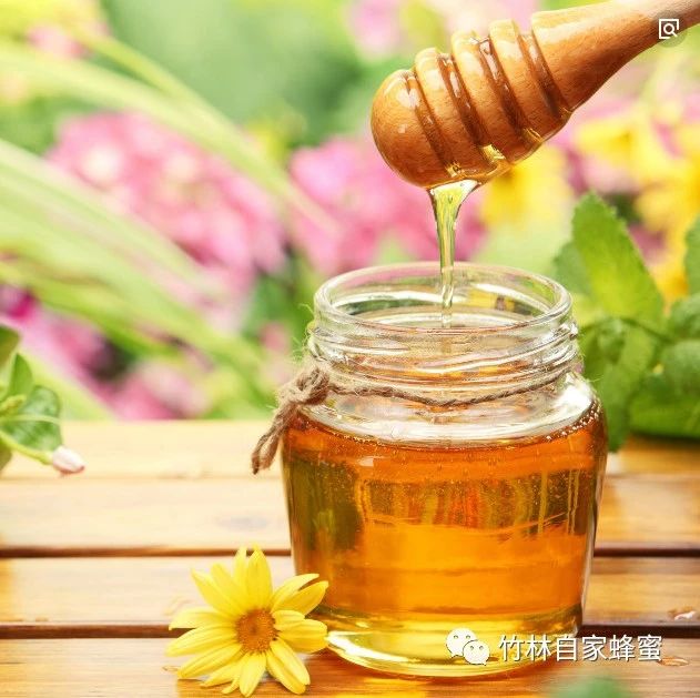 蜜蜂网 吃蜂蜜会长胖吗 养蜜蜂 蜜蜂养殖技术 白醋加蜂蜜