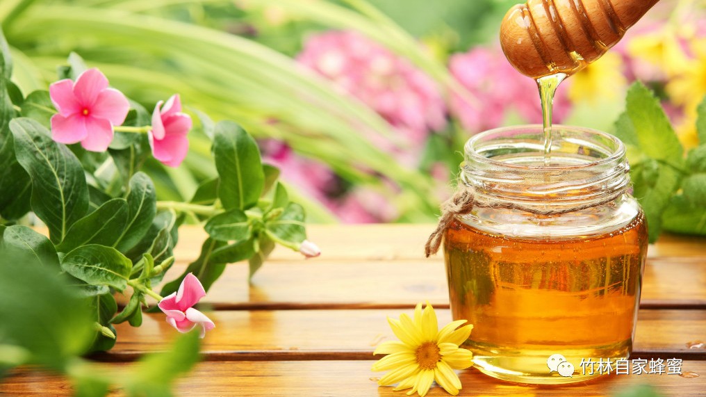 养蜜蜂 蜂蜜减肥的正确吃法 中华蜜蜂养殖技术 蜂蜜怎么吃 什么蜂蜜最好