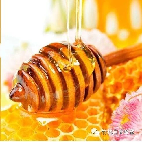蜂蜜 姜汁蜂蜜水 蜂蜜核桃仁 冠生园蜂蜜价格 蜜蜂病虫害防治
