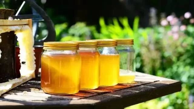 姜汁蜂蜜水 蜂蜜减肥的正确吃法 蜂蜜的吃法 百花蜂蜜价格 manuka蜂蜜