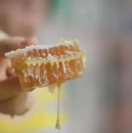 蜂蜜面膜怎么做补水 哪种蜂蜜最好 蜂蜜白醋水 蜂蜜的吃法 怎样养蜜蜂