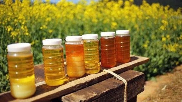 生姜蜂蜜水 蜂蜜怎样祛斑 土蜂蜜 蜜蜂视频 买蜂蜜
